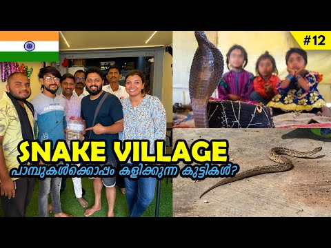 Is Snake Village In Maharashtra Real Shetphal Village Snakes Travel Vlog Malayalam EP12