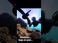 Mientras, bajo el azul... video a 360°