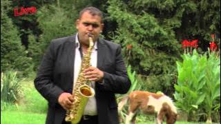 Marinel Purcelan - Cel mai frumos COLAJ LIVE instrumentala Saxofon