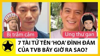 7 Diễn Viên Tên 'Hoa' Đình Đám Một Thời Của TVB Giờ Ra Sao?