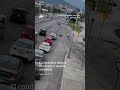 Ayuda a perro a cruzar avenida