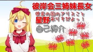 「【Vtuber】初めまして！彼岸の国のアリスこと、有栖川ありすです！【自己紹介】」のサムネイル