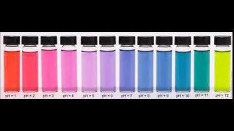 Lab Report Movie on Acids and Bases