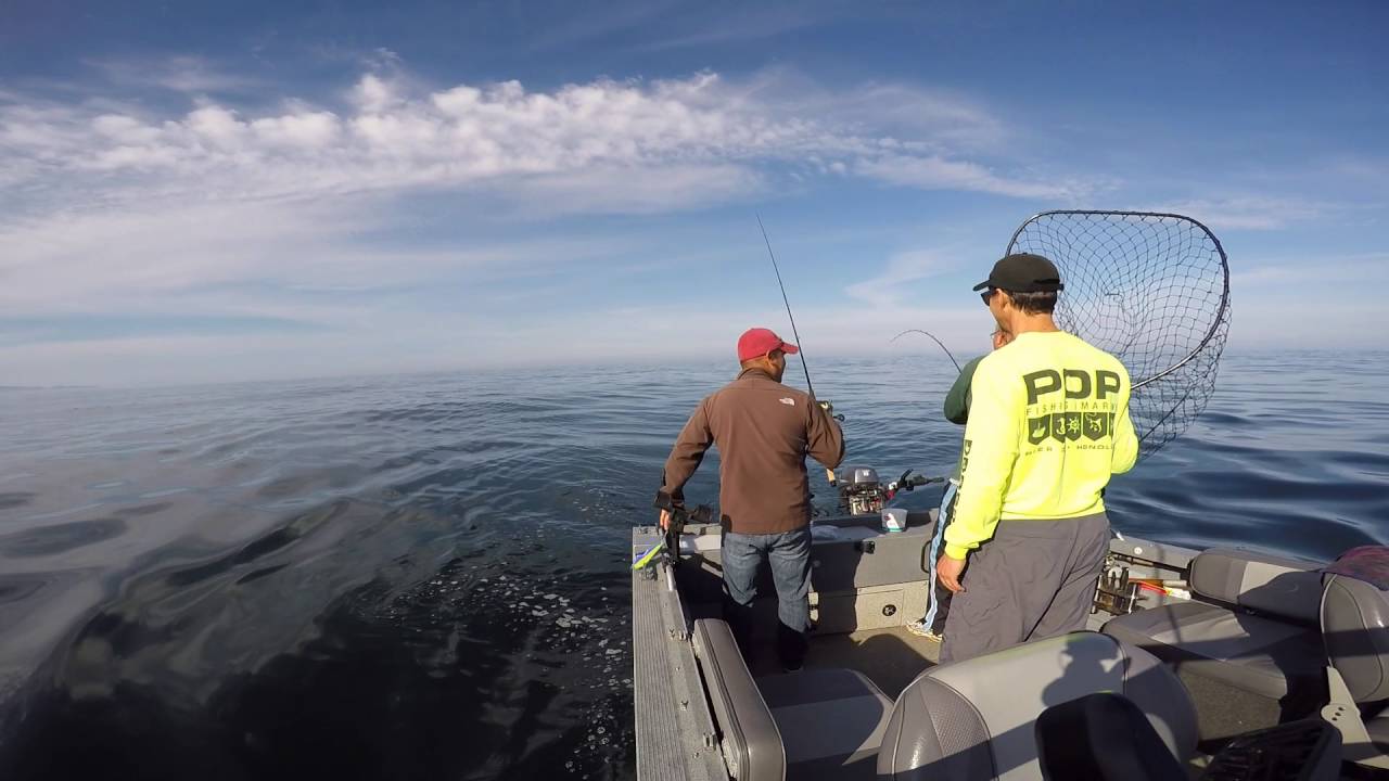 Back to the Salt Salmon Fishing at the Oregon coast July 6, 2016