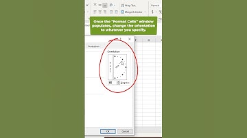 How to align/rotate a cell in excel. #exceltip #howtoexcel