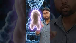 23pairs of Chromosomes in haritage 23th pair responsible for Child's genderMale/female @edubihar