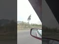 Лесной пожар в Казахстане г.Риддер ВКО.