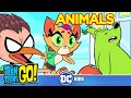 Teen Titans Go!  | Top 10 Animal Moments |  DC Kids