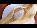 COCINA #CONMIGO TAMALES VERDES DE PUERCO