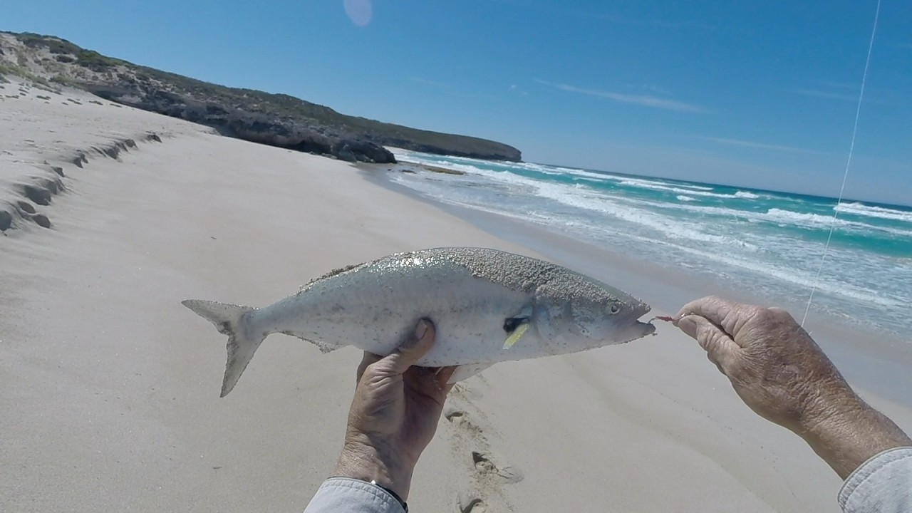 Kangaroo Island Hanson Bay Salmon Fishing 2026 #kangarooisland #hansonbay #salmonfishing