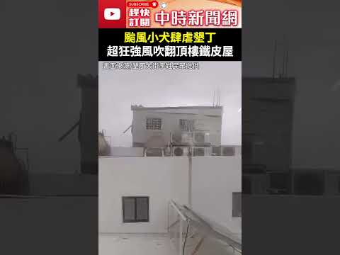 颱風小犬肆虐墾丁！　超狂強風吹翻頂樓鐵皮屋 @ChinaTimes #shorts @ChinaTimes