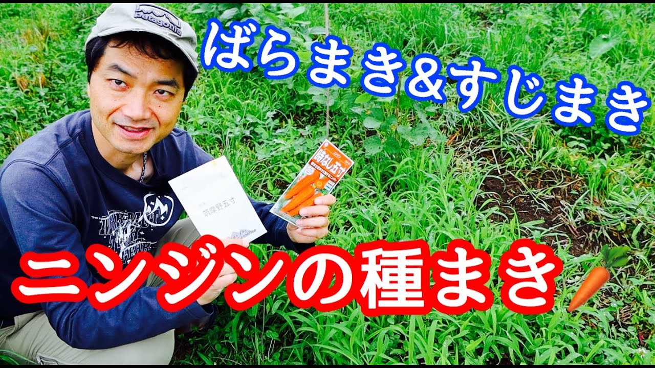 【種まき】草だらけの畑にニンジンの種まき　ばらまき＆すじまきでやってみた