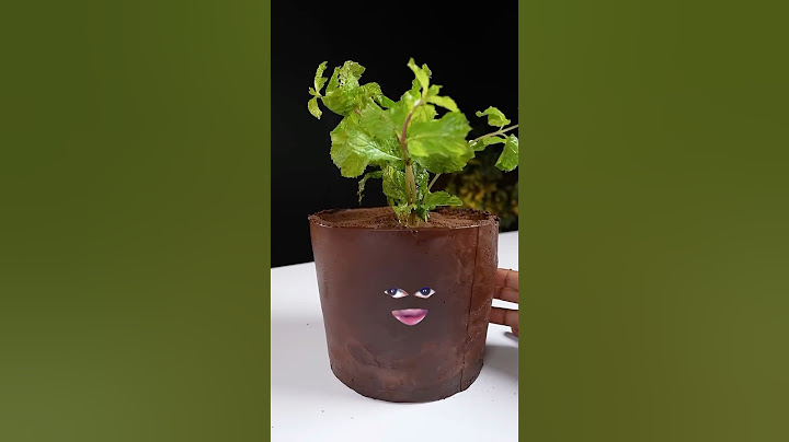 Big flower Pot dessert 😂 | #shorts #shortsvideo #funny