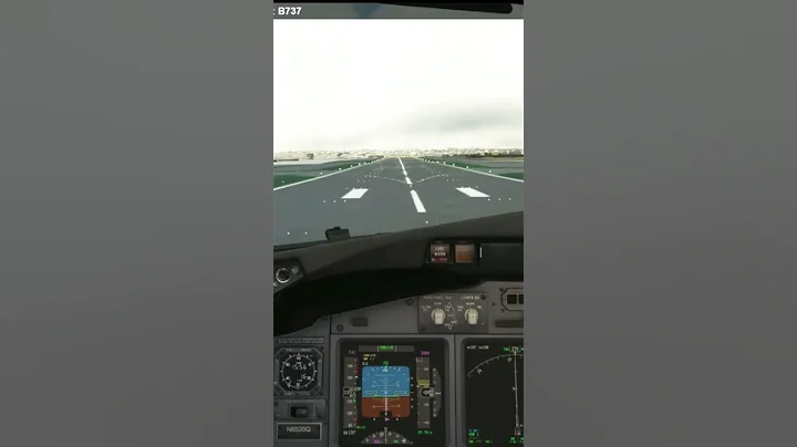 Landing in San Diego PMDG 737-800 Smooth as butter 🧈