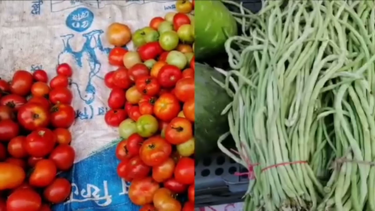 Beautiful fresh vegetables in Bangladesh YouTube