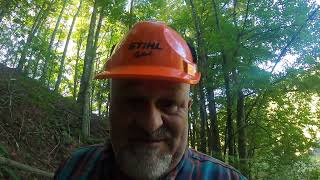 From Standing Tree To Lumber With Farm Tractors And A Woodmizer Sawmill