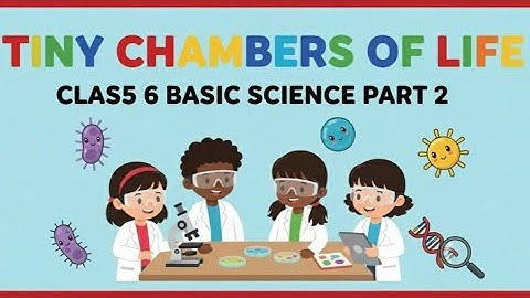 എളുപ്പവഴിയിളുടെ പഠിക്കാം 💥CHAPTER 6 TINY CHAMBERS OF LIFE CLASS 6 BASIC SCIENCE #basicscienceclass6 