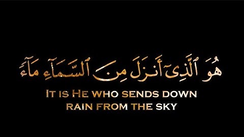 القارئ ياسر الدوسري كروم وخلفيات سودا ايات ذهبيه ﴿هُوَ الَّذي أَنزَلَ مِنَ السَّماءِ ماءً لَكُم﴾