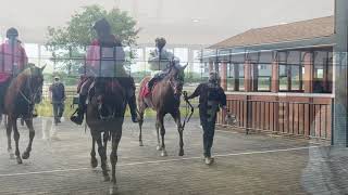 Trainer Kate Demasi comes in 1-2 with her Allowance coupled entry at Parx Racing