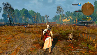 Видео Ведьмак 3.Пронзающий холод (автор: MIX)