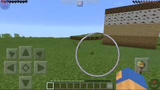 Minecraft online! #02 i cereali volanti