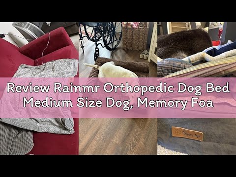 Review Rainmr Orthopedic Dog Bed Medium Size Dog, Memory Foam Dogs Bed for Medium Dogs, Washable Rem