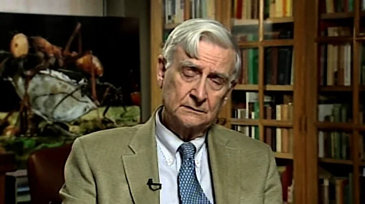 Entrevista a Edward O. Wilson