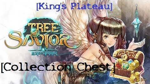 Tree of Savior | Found Collection Chest | King