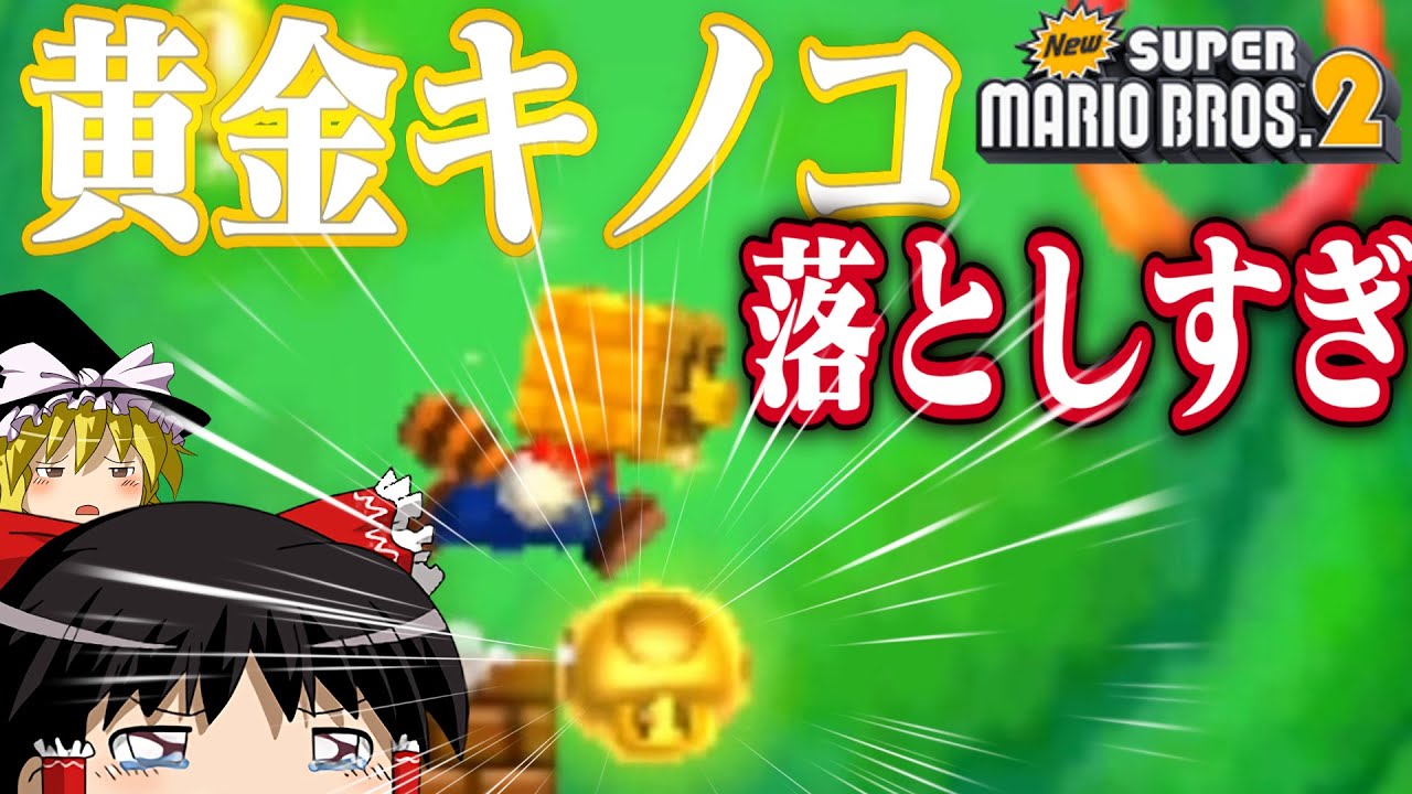 ゆっくり霊夢が征く！3DSのNewスーパーマリオブラザーズ2 Part１２【ゆっくり実況】