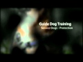 Dog Training La Jolla CA Dog Trainer - Pet Obedience Training Dog Training La Jolla CA Dog Trainer - Pet Obedience Training