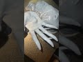 Monster Horror 3D Printed book nook