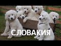 СЛОВАКИЯ | ИНТЕРЕСНЫЕ ФАКТЫ #интересныефакты #путешествия #путешествие