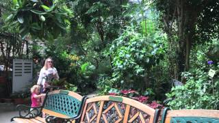 Magic Wings Butterfly Conservatory