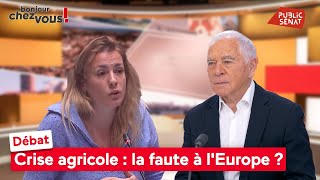 Débat sur la crise agricole : la faute à l'Europe ?