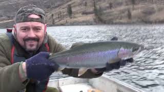 WINTER TROUT & BURBOT FISHING(Jigging) | OKANAGAN LAKE!! (Catch & Clean)