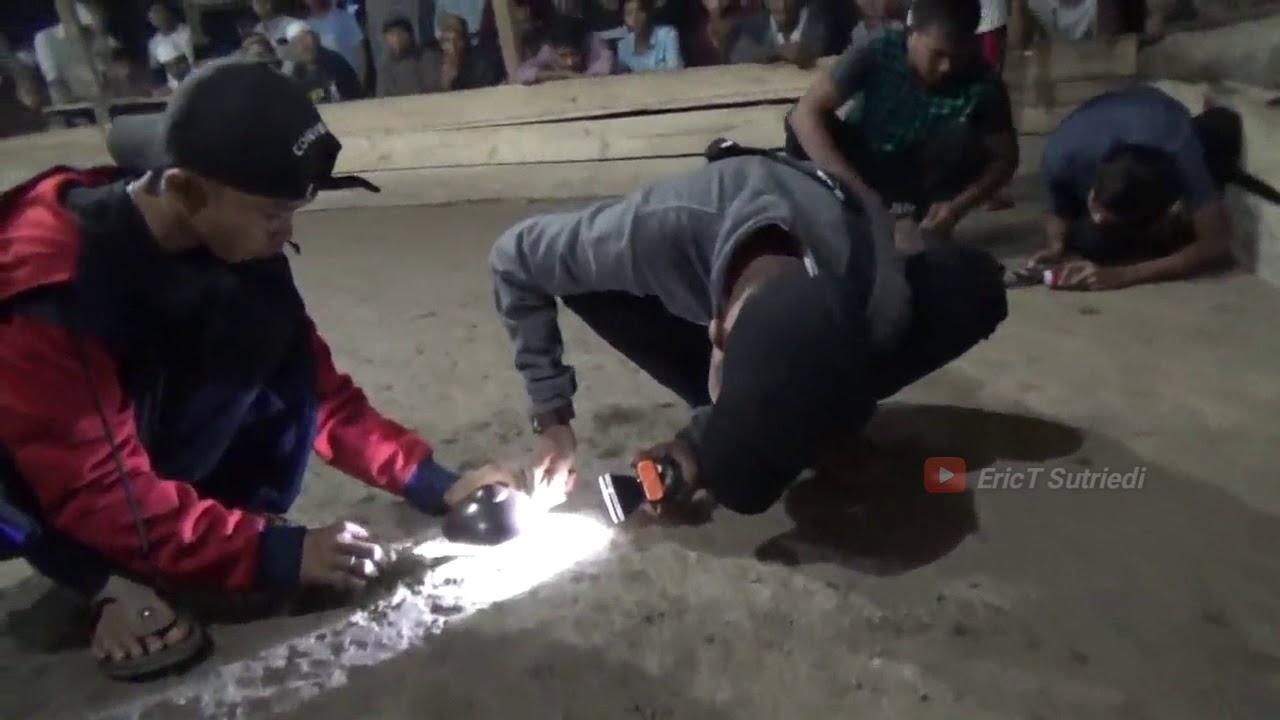 Pertandingan Gasing, di Kuala Tungkal Jambi