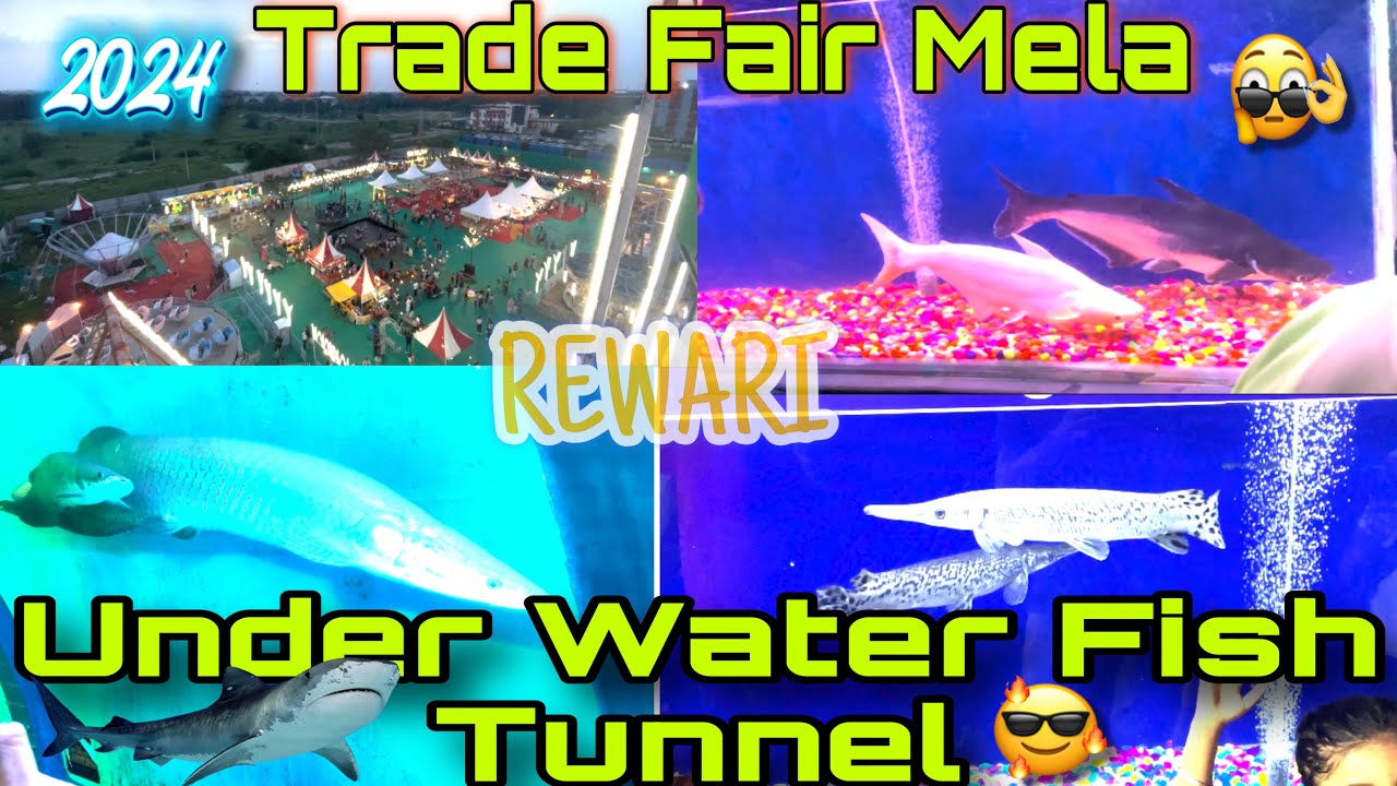 ट्रेड फेयर मेला रेवाड़ी 🎡/ फर्स्ट टाइम फिश टनल 🐟🐠/ Priyanshu Dhillon Vlogs