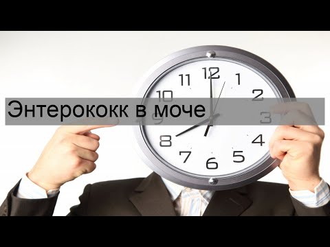 Видео: Как лекувате VRE в урината?