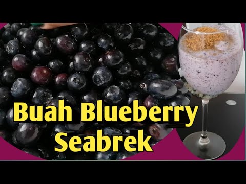 Video: Bagaimana Blueberry Berbeda Dari Blueberry?