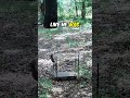 “He Risked Everything for Peanuts”