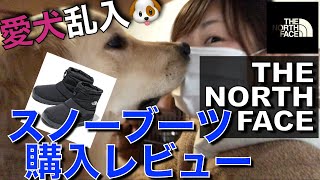 【ノースフェイス】愛犬と共にスノーブーツの購入レビュー【機能性抜群】
