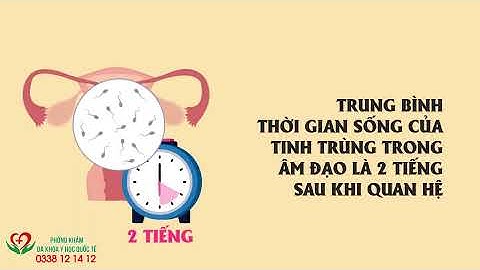 Tinh trùng sống trong tử cung được bao nhiêu ngày năm 2024