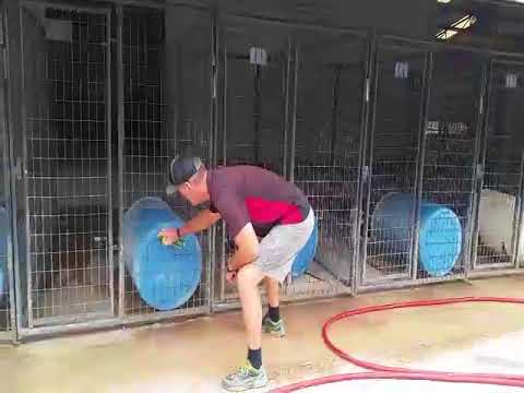 Chagas Disease Prevention at the 4R Ranch in Hondo, Texas