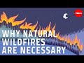 Why certain naturally occurring wildfires are necessary - Jim Schulz