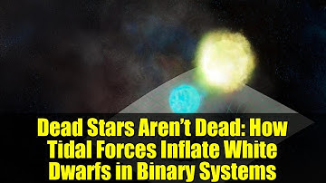 Dead Stars Aren’t Dead: How Tidal Forces Inflate White Dwarfs in Binary Systems