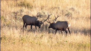 Bighorn Trail, Labor Day Weekend - Yellowstone National Park