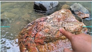 Jackpot disini banyak temuan yg di review akali ini //? Found many nice stones in this river