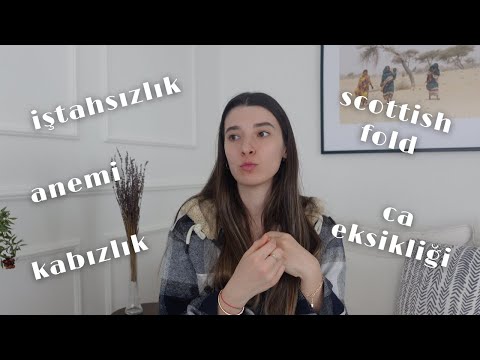 Video: Böbrek Yetmezliği Olan Bir Kedinin Bakımı