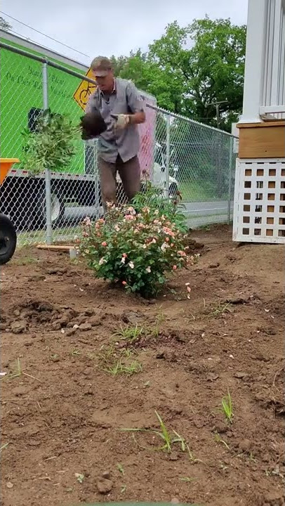 Habitat for Humanity Project