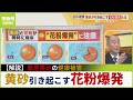 【黄砂の健康被害】アレルギー専門家が警鐘…花粉引き起こす『爆発気管支炎』「ぜんそく悪化」「マスクは完全ではない」(2023年4月12日)